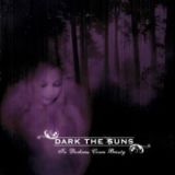 dark_the_suns_-_in_darkness_comes_beauty.jpg