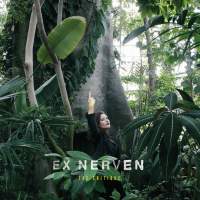 EXNERVEN-TheCritique