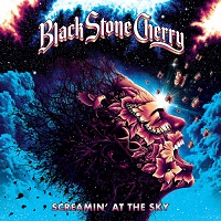 80429 black stone cherry screamin at the sky cd