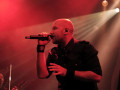 live 20241005 serenity