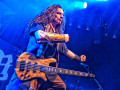 live 20250809 windrose
