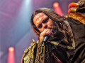 live 20250809 windrose