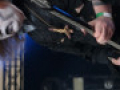 live 20130517 0305