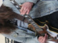 live 20130518 0203
