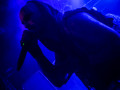 live 20160923 0524 primordial