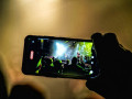 live 20250612 carcass