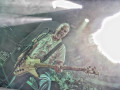live 20250612 carcass