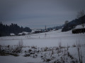 live 20170107 0017 impressionen