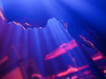 live 20170427 0220 pabst
