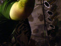 live 20131013 0110