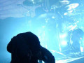 live 20131013 0306