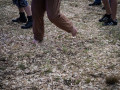 live 20170630 0042 impressionen