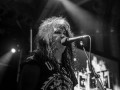 live 20171116 0203 wasp