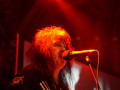 live 20171116 0211 wasp