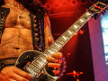 live 20171116 0213 wasp
