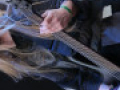 live 20130519 0306
