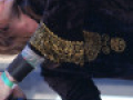 live 20130519 0402