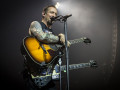 volbeat galerie