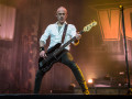 volbeat galerie