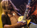 live 20180724 0206 thedeaddaisies