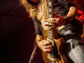 live 20180724 0217 thedeaddaisies