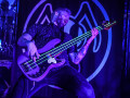 live 20190215 0205alienantfarm