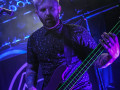 live 20190215 0206alienantfarm