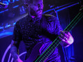 live 20190215 0207alienantfarm