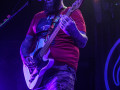 live 20190215 0209alienantfarm