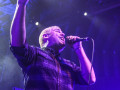 live 20190215 0210alienantfarm