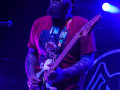 live 20190215 0215alienantfarm