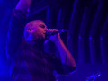 live 20190215 0220alienantfarm