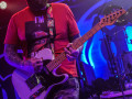 live 20190215 0225alienantfarm