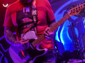 live 20190215 0226alienantfarm