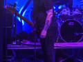 live 20190215 0227alienantfarm
