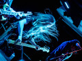 live 20190510 0209 glanville andreas