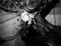 live 20190523 0129 electriccitizen