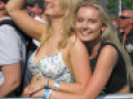 IMG 0243