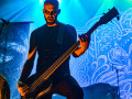 live 20200126 0110 wolvesinthethroneroom