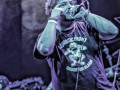 live 20250630 blankethill