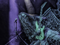 live 20250630 blankethill