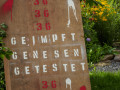 live 20210813 0117 impressionen