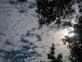 live 20210813 0131 impressionen