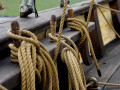 live 20230715 0006 ausflugnordlysid