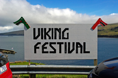Viking Festival 2021