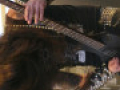 live 20140606 0109 Nocturnal
