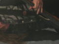 live 20140606 0501 DieApokalyptischenReiter