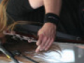 live 20140608 0404 Insomnium