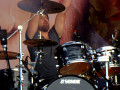live 20140814 0106 Delain