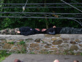 live 20140622 0108 impressionen